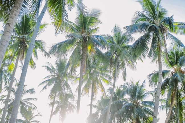el-nido-prenup-5