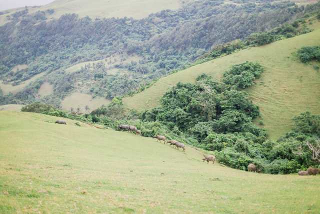 rhea-ingo-batanes-wedding-100