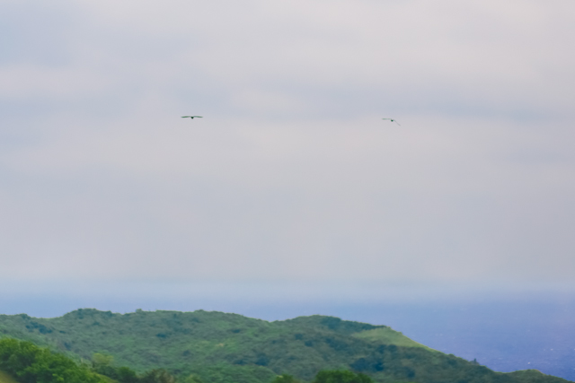 rhea-ingo-batanes-wedding-108