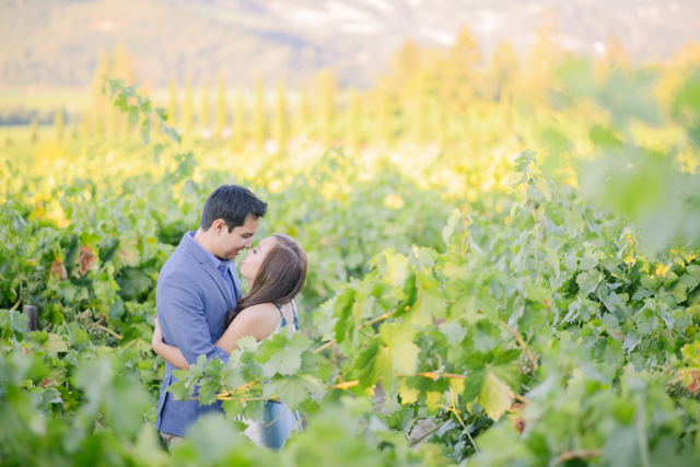 napa-valley-engagement-shoot-17